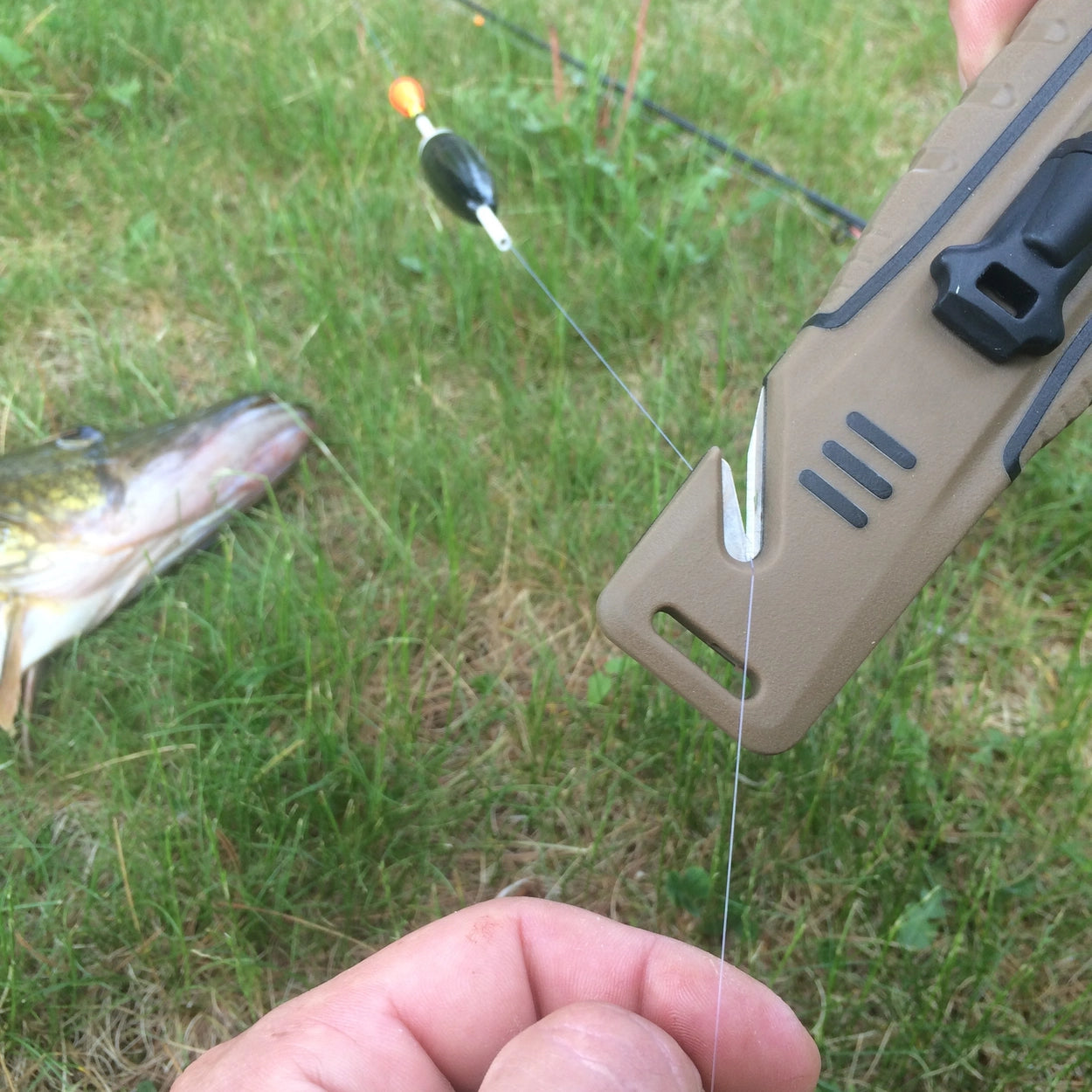Couteau de survie pour camping et chasse avec allume-feu et affûteur