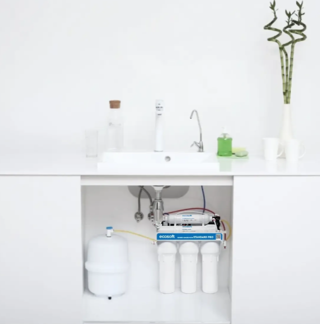 Filtre à osmose inverse Ecosoft Standard PRO avec minéralisation et pompe